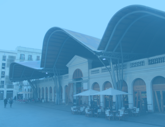 Casal estiu Mercat de Santa Caterina - 229€